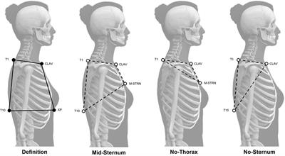 Model variations for tracking the trunk during sports testing in a motion capture lab